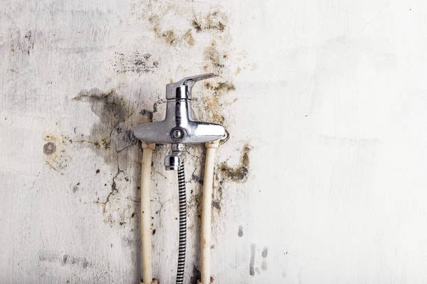 Best Residential Mold Removal  in Orange Lake, NY