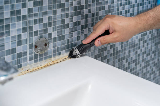 Best Home Mold Removal  in Orange Lake, NY